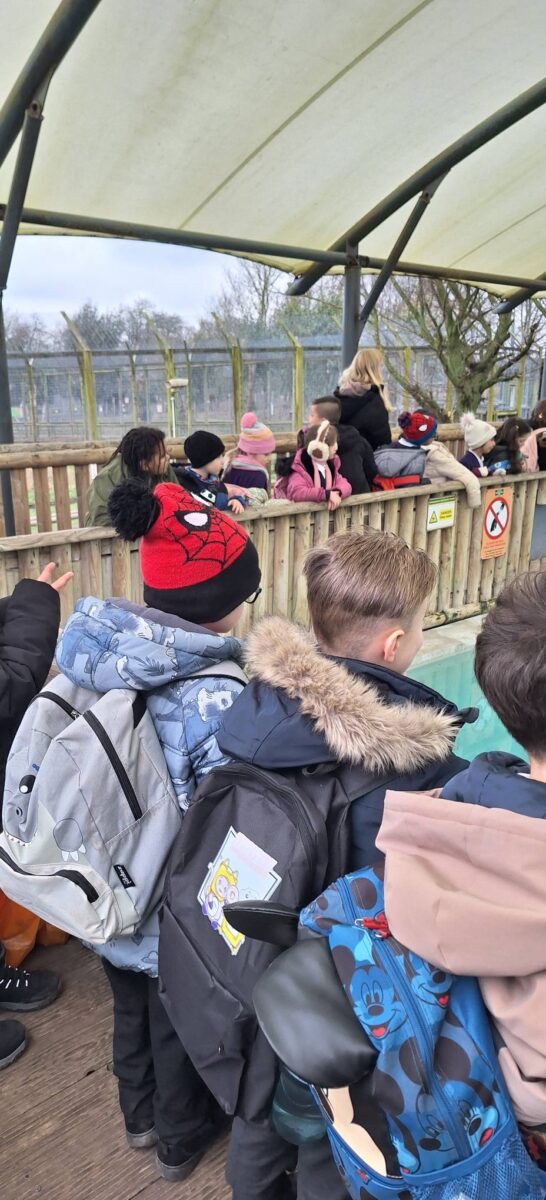 A group of children leaning against a railing, looking into an animal encolsure